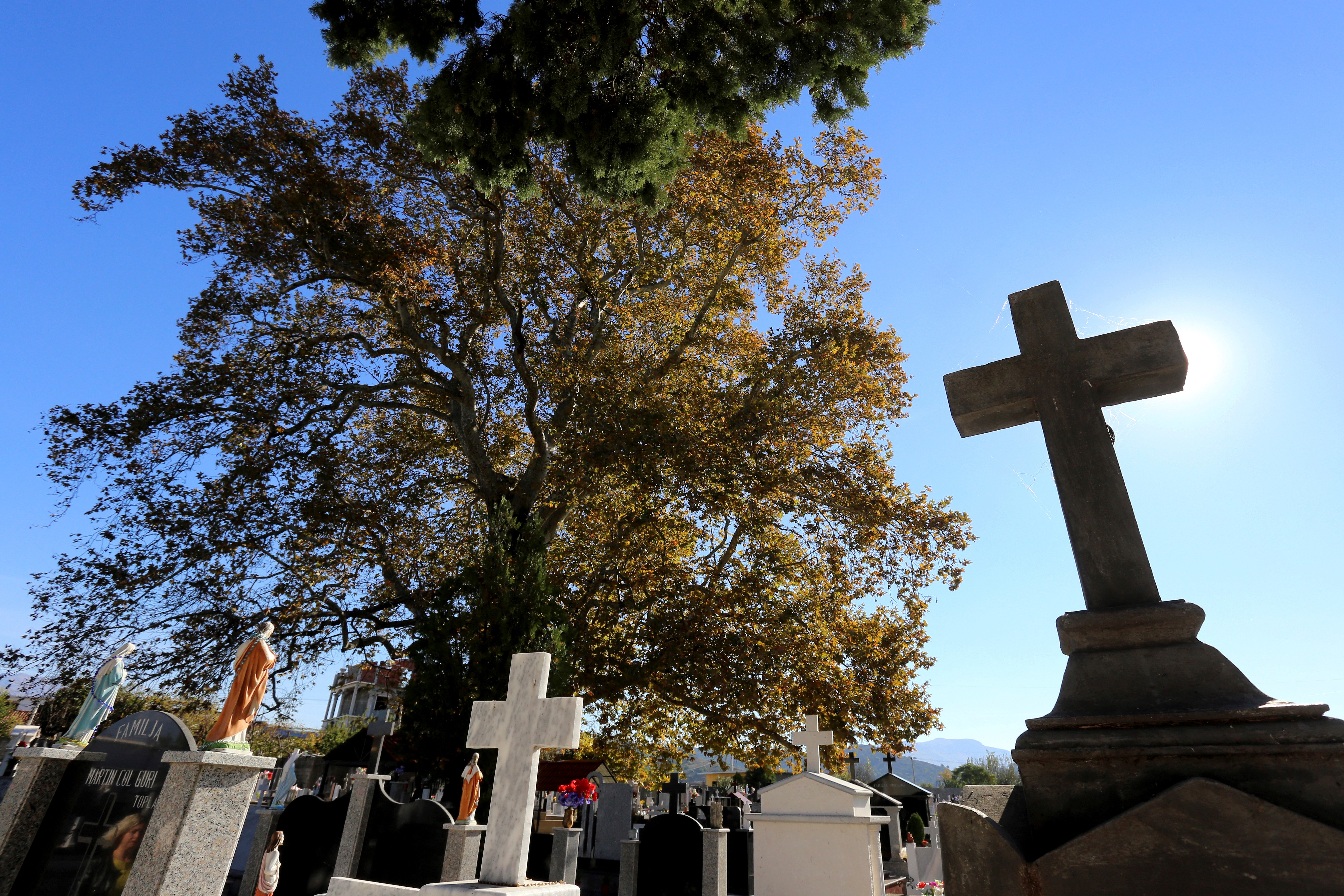 WEB2-ALBANIA-CIMETERY-AFP-000_hq9qu.jpg