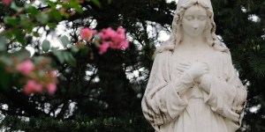 Iris, lys, roses ou violettes ? Quelles fleurs offrir à la Vierge Marie ?
