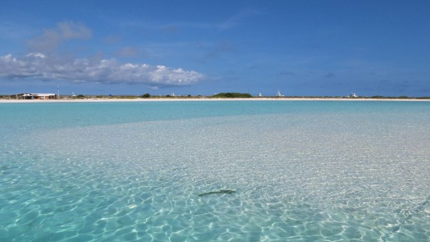 ISLA TORTUGA