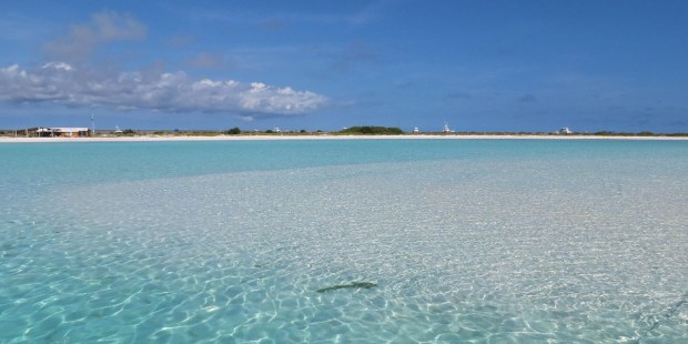 ISLA TORTUGA