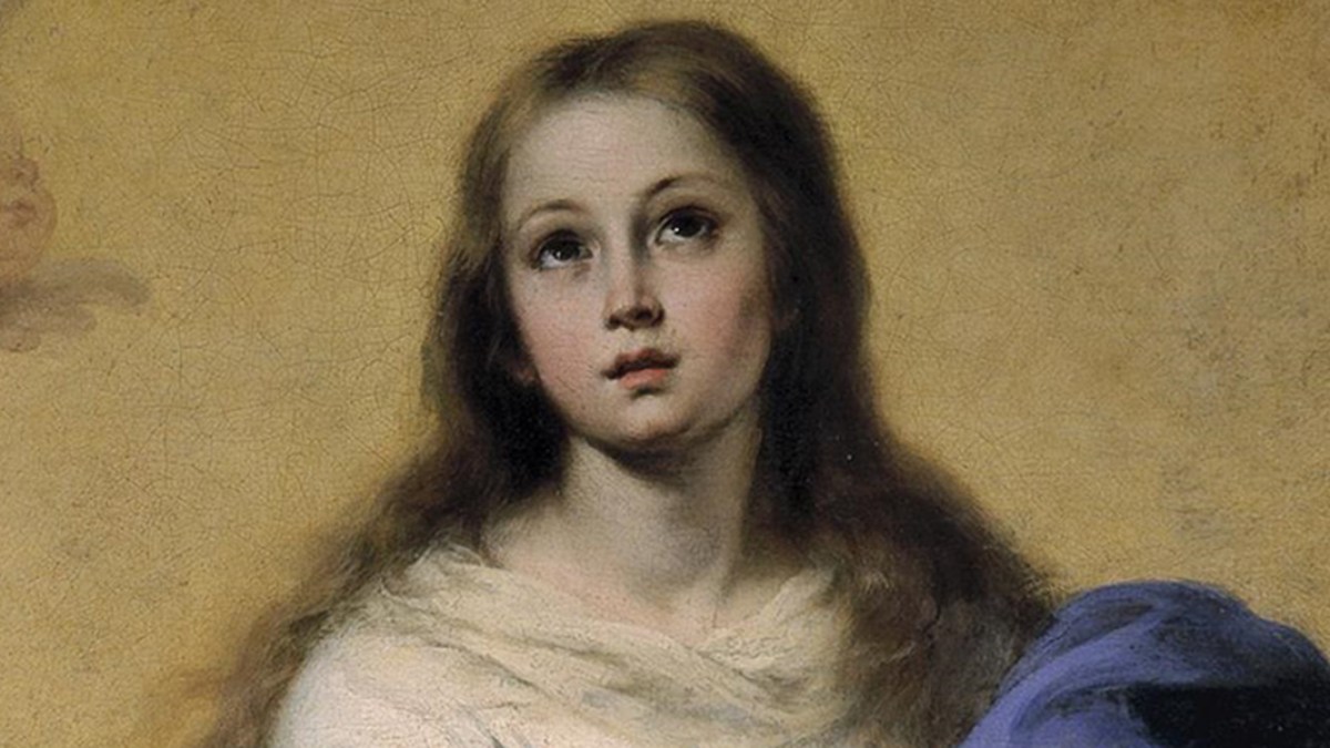 IMMACULATE CONCEPTION