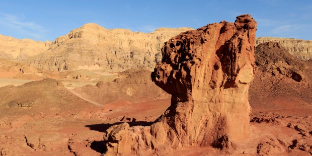 WEB2-TIMNA-AFP-058_2412260.jpg