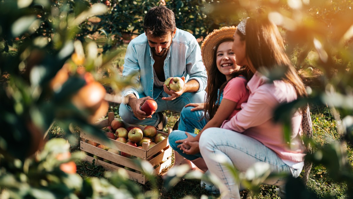 Famille-campagne.jpg