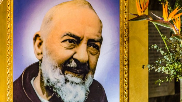Saint Padre Pio ou les plaies ouvertes de l'amour