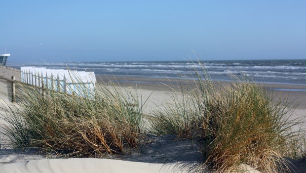 WEB2-BEACH-HARDELOT-shutterstock_1813455091.jpg