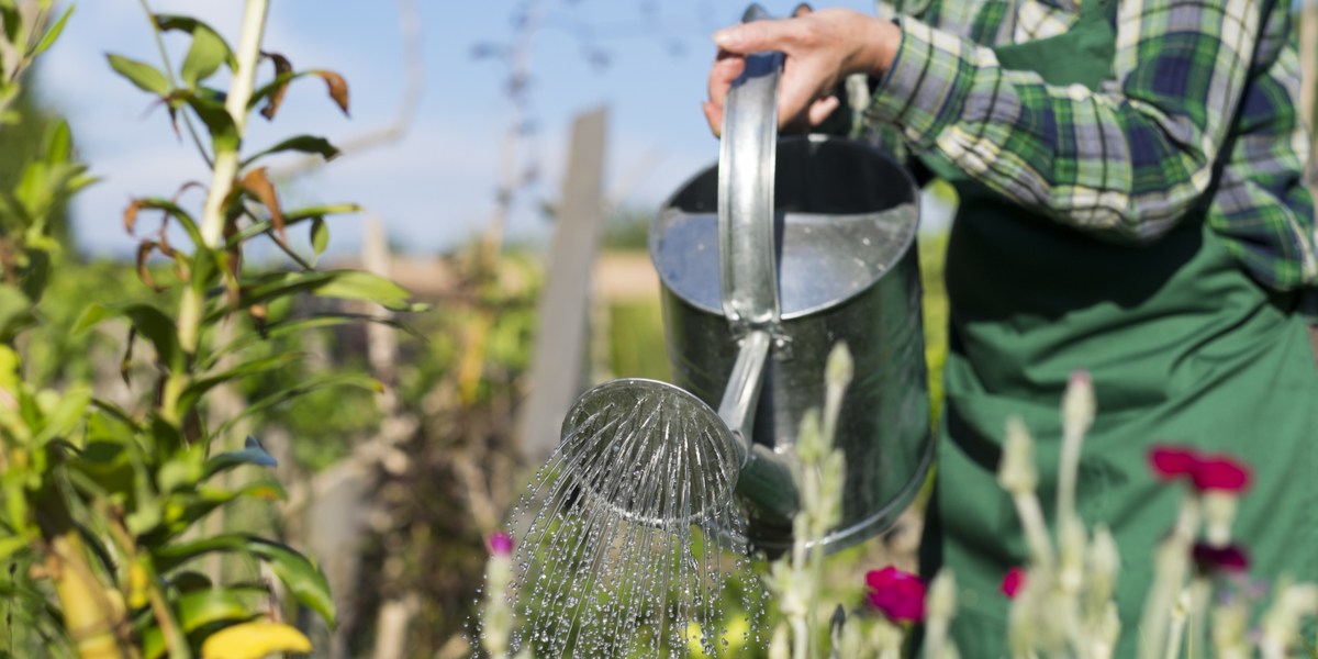 WOMAN, WATER, GARDEN