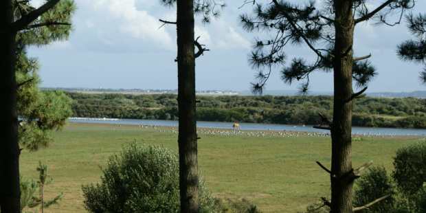 Paysage Marquenterre