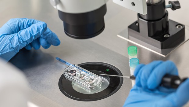 IN VITRO