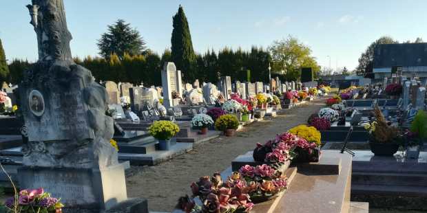 cimetière fleuri