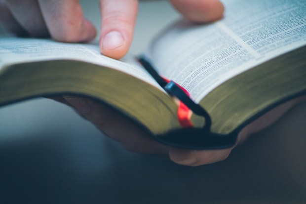 BIBLE READING