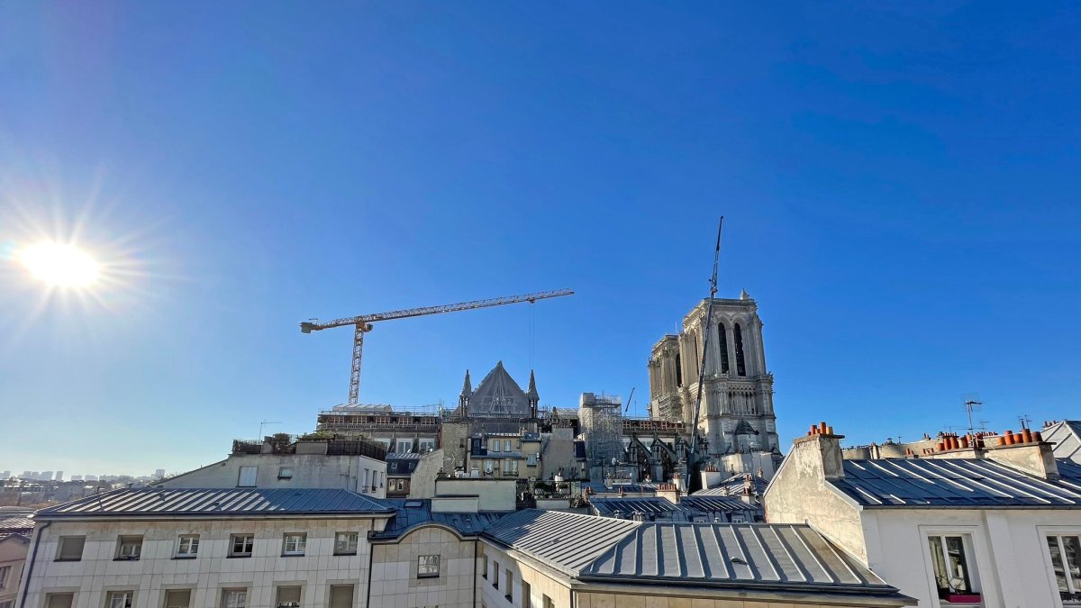notre-dame-de-paris-échafaudage.jpeg