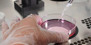 La PMA post-mortem, une fabrique à orphelins