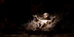 jésus dans la crèche