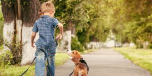 Leon et Fern, la magnifique amitié entre un petit garçon autiste et un cocker