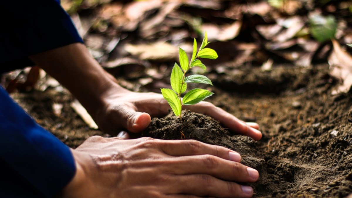 ECOLOGIE