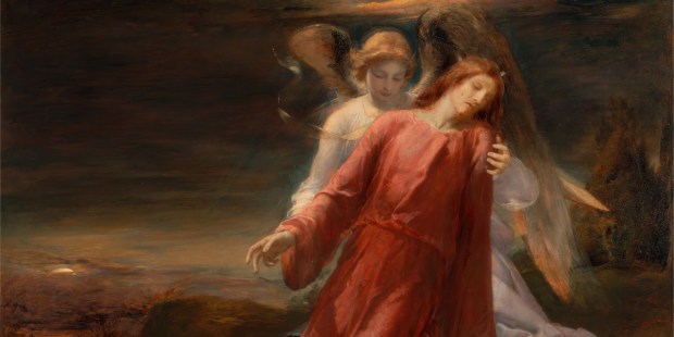 The Agonie of the garden