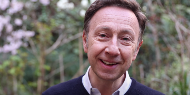 STEPHANE BERN