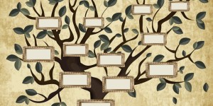 Cinq raisons de faire un arbre généalogique avec votre famille