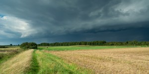 Face au dérèglement climatique, osons sortir du cynisme comptable