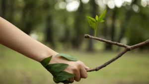 BIODOVERSITÉ-INTEGRALE-shutterstock_212981179.jpg