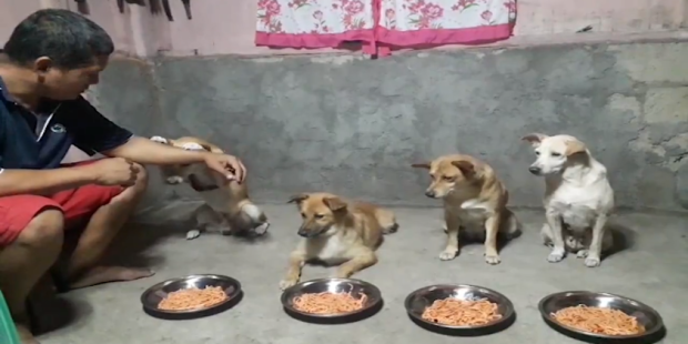 Bénédicité Philippines