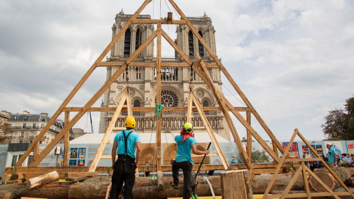 chantier notre dame de paris