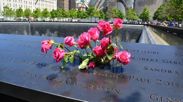 WEB2-GROUND ZERO-shutterstock_197085038.jpg