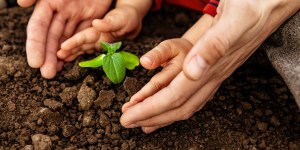 Pas d’écologie intégrale sans unité et développement de la famille humaine