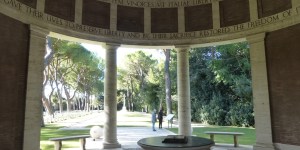 Thumbnail for read also