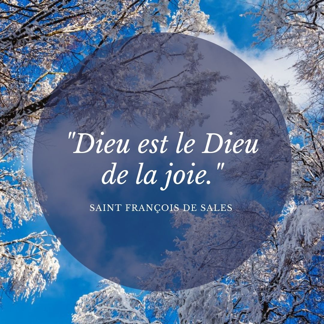 {"rendered":"Les plus belles citations sur la joie des grands saints"}