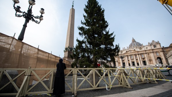 VATICAN-CHRISTMAS-TREE-Antoine-Mekary-ALETEIA-AM_9359.jpg