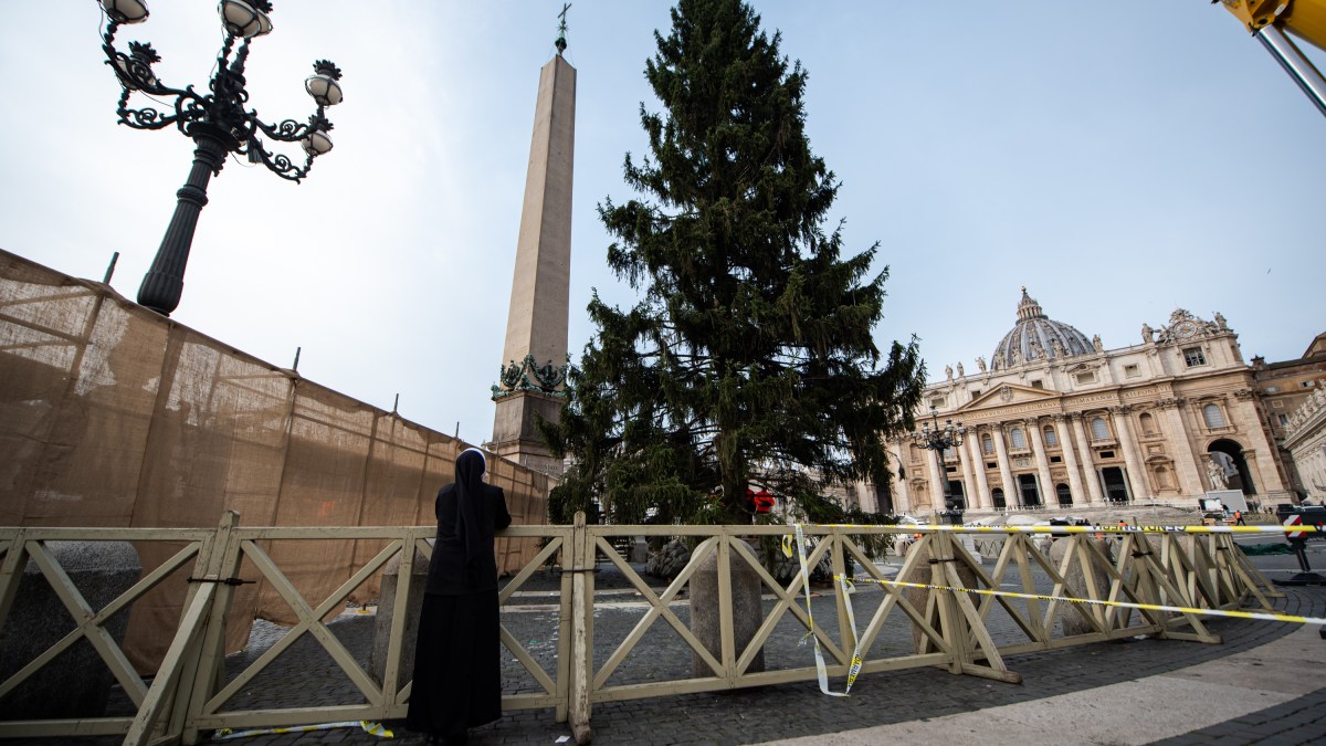 VATICAN-CHRISTMAS-TREE-Antoine-Mekary-ALETEIA-AM_9359.jpg