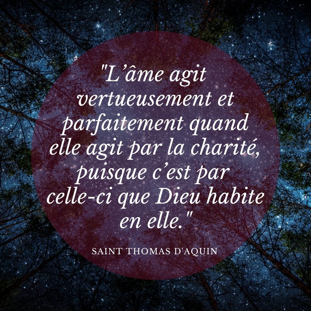 Les plus belles citations des saints sur la charité