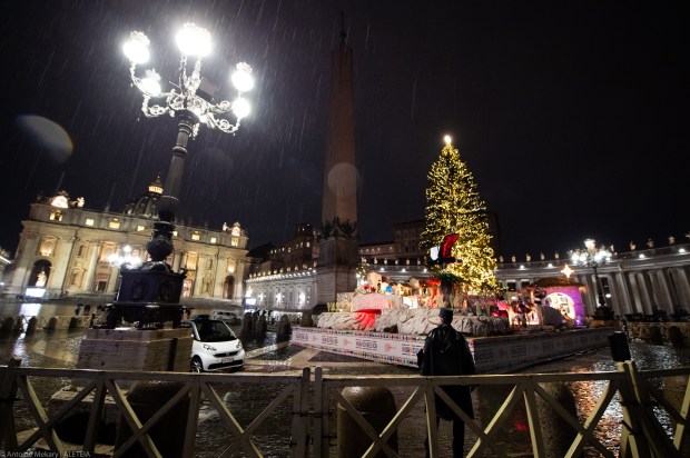 Vatican's Christmas Tree and Nativity Scene