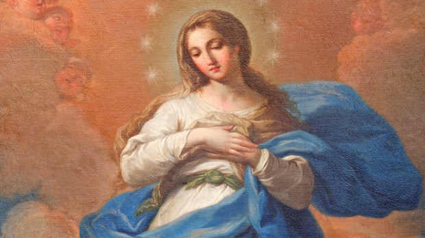 8 décembre : fête de l'Immaculée Conception WEB3-Mary-Immaculate-shutterstock_276946976