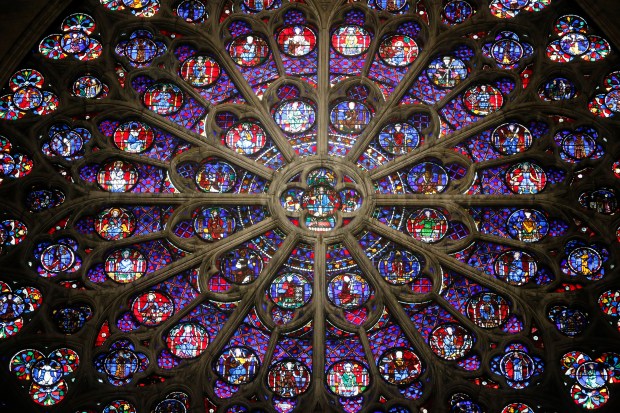 En images : les plus belles roses de France