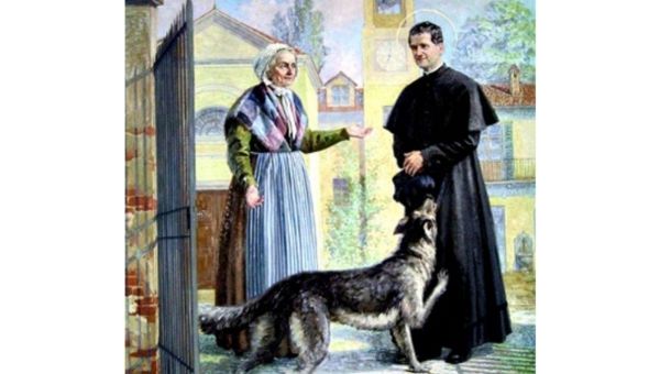 DON BOSCO DOG
