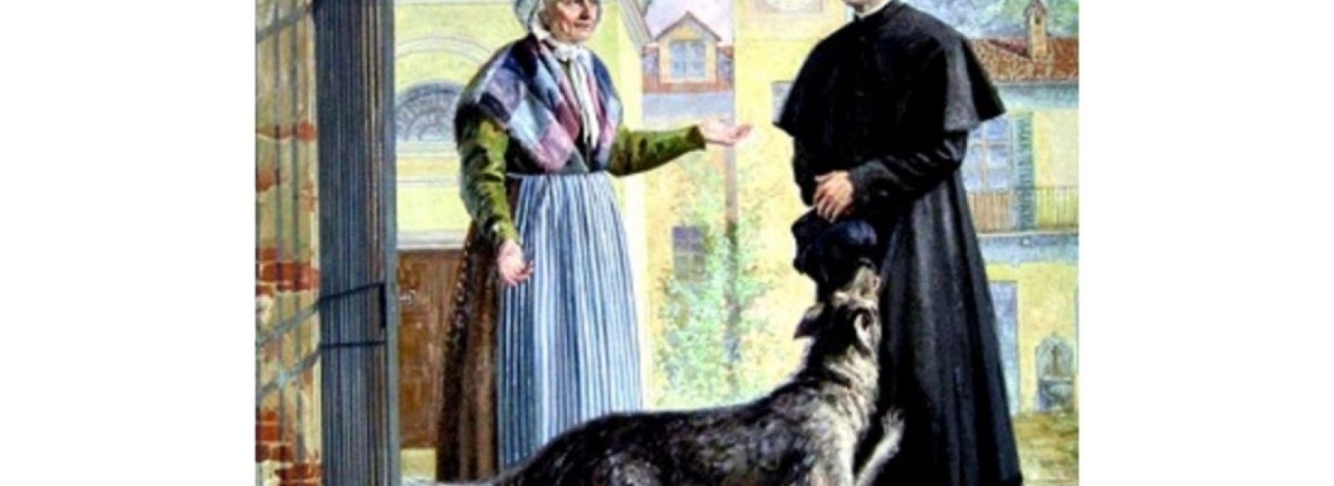 DON BOSCO DOG