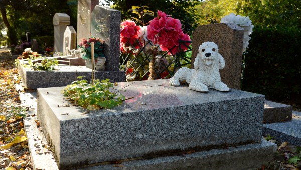 CIMETIÈRE DES CHIENS ASNIERES