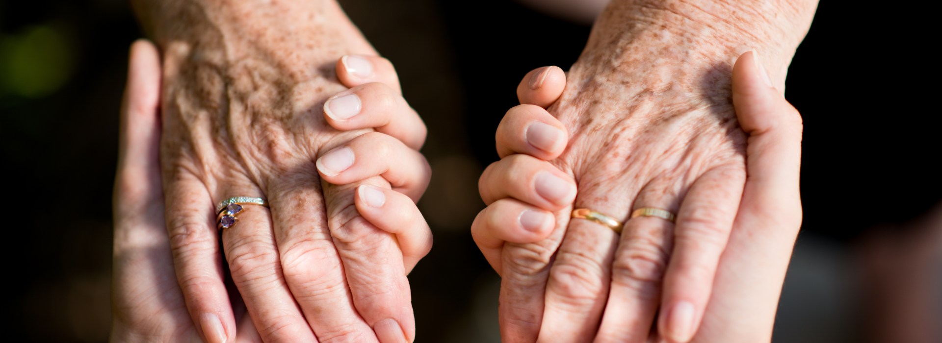 WEB2-HANDS-shutterstock_493465723.jpg