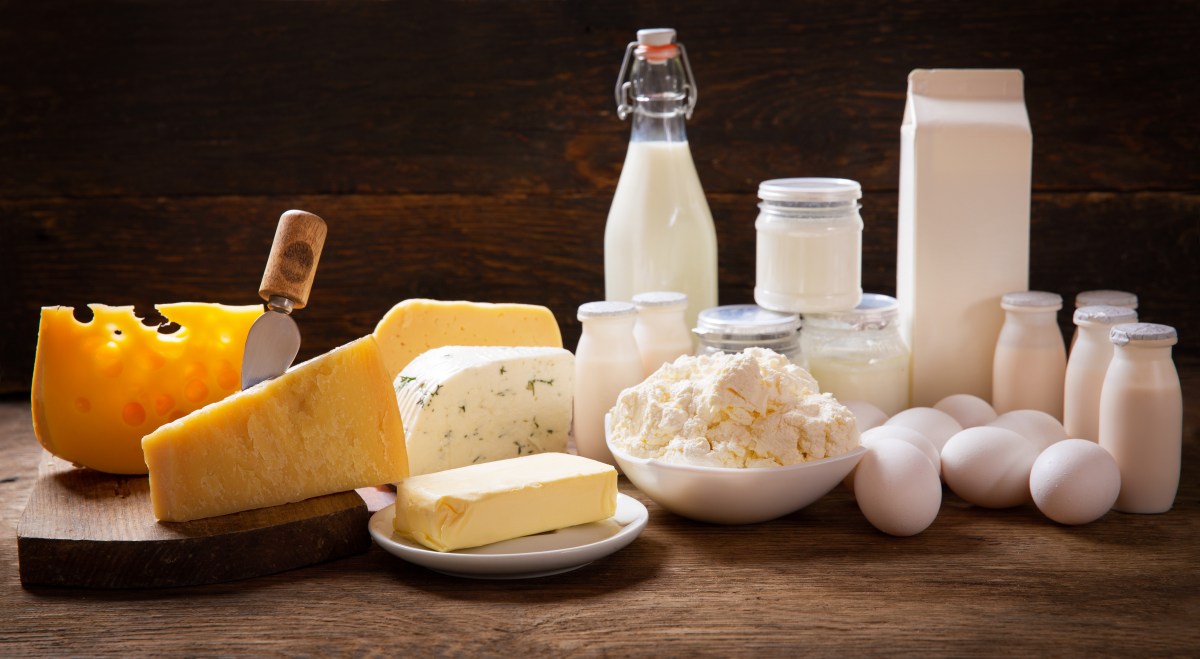 dairy products