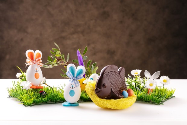 poisson lapin pâques chocolat