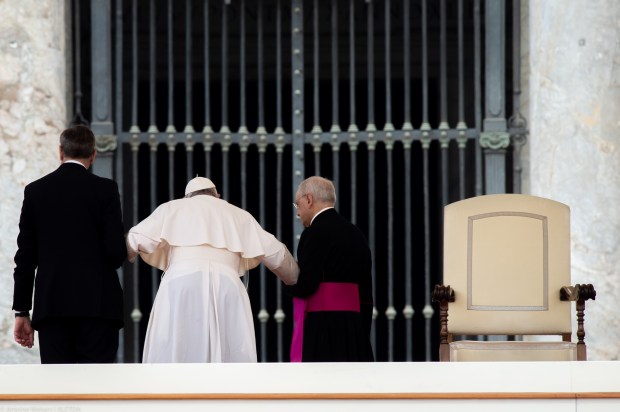 POPE FRANCIS AUDIENCE VATICAN