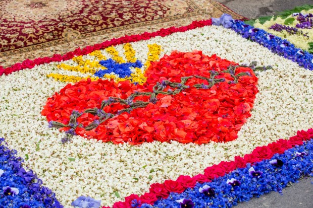 dywan kwiatowy Zimna Wódka