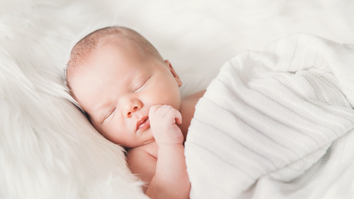 baby8.jpg