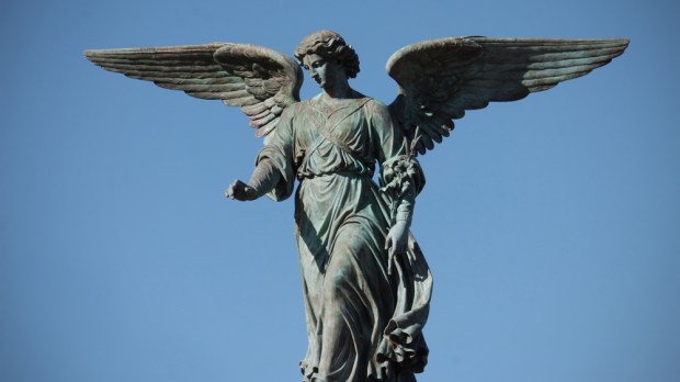 N'oublions pas nos chers anges-gardiens ! - Page 12 Shutterstock_78277246