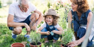 Les vertus insoupçonnées du jardinage