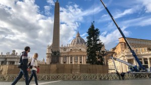 Workers-look-on-as-a-crane-lifts-a-Christmas-Tree-silver-fir-from-the-Abruzzo-region-into-position-at-St-Peters-Square