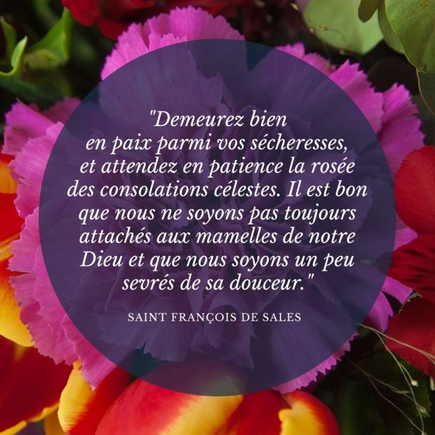 Douze pensées des grands saints sur la consolation