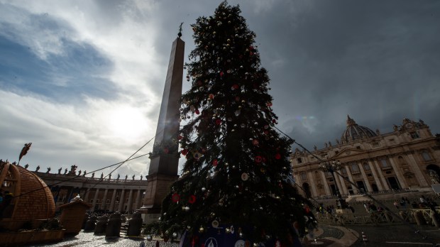 Angelus de Pape François en ce jour du 4 decembre 2022 Christmas-Crib-and-Christmas-tree-in-St.-Peters-Square-December-03-2022-Antoine-Mekary-ALETEIA.AM_0749